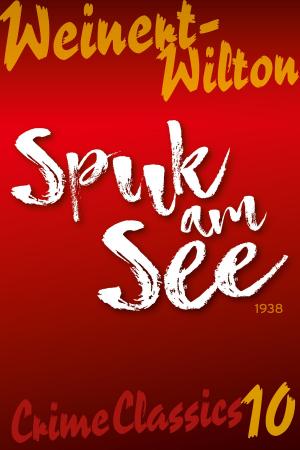 Cover of the book Spuk am See by Lou Andreas-Salomé