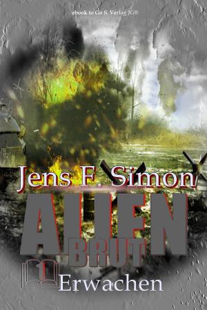 Cover of the book Erwachen by J. F. Simon
