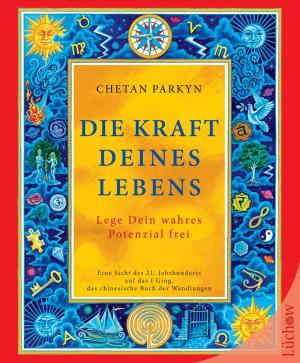 Book cover of Die Kraft Deines Lebens