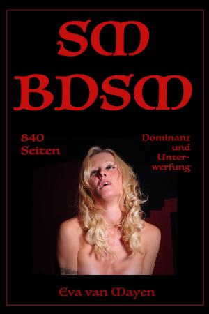 Cover of the book SM/BDSM - 840 Seiten Dominanz und Unterwerfung by Elizabeth de la Place