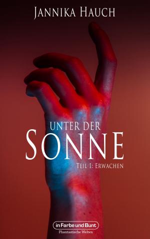 Cover of the book Unter der Sonne - Teil 1: Erwachen by Björn Sülter, Weltenwandler