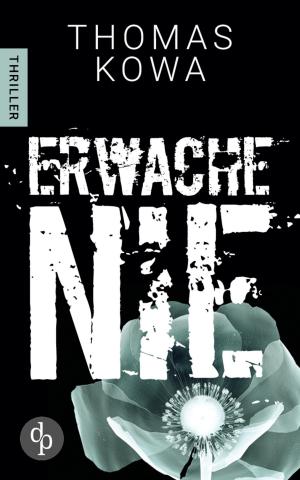 Cover of the book Erwache nie by David Menon