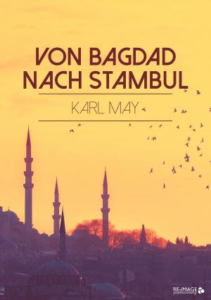 Cover of the book Von Bagdad nach Stambul by Franz Kafka