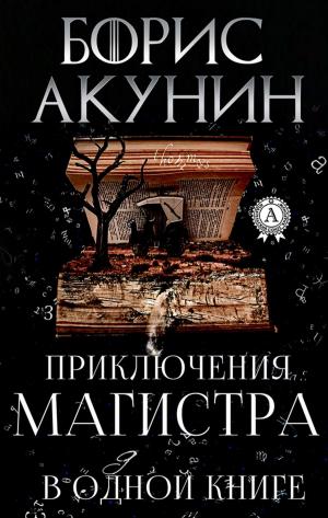 Cover of the book Приключения магистра в одной книге by Жорж Санд