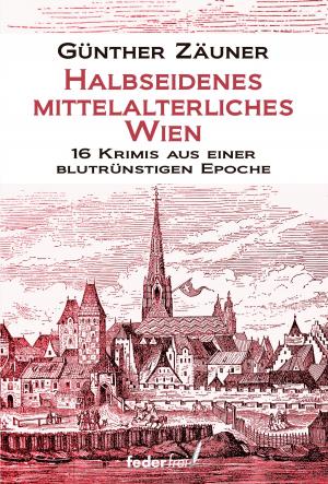Cover of Halbseidenes mittelalterliches Wien: 16 Krimis aus einer blutrünstigen Epoche