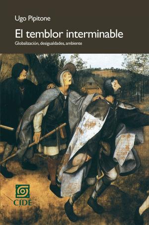 Cover of the book El temblor interminable by Sergio Cárdenas, Enrique Cabrero, David Arellano