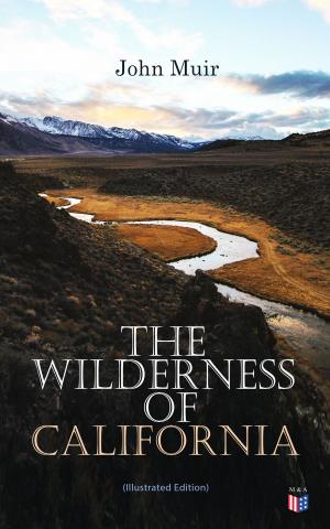 Book cover of The Wilderness of California (Illustrated Edition)