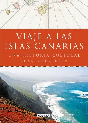 Book cover of Viaje a las islas Canarias
