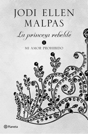 Cover of the book Mi amor prohibido by Luis Garicano