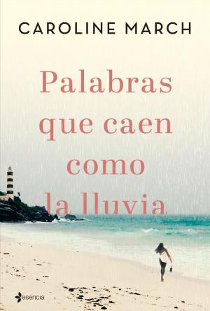 Cover of the book Palabras que caen como la lluvia by Laura Gallego
