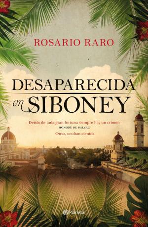 Cover of the book Desaparecida en Siboney by Daniel Lacalle, Emilio Ontiveros Baeza, Juan Torres López