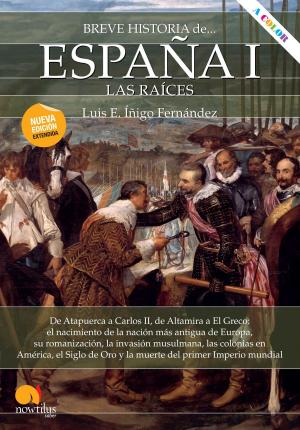 Cover of the book Breve historia de España I: las raíces by Iñigo Bolinaga Iruasegui