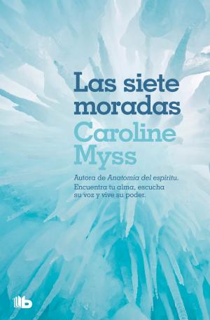 Book cover of Las siete moradas