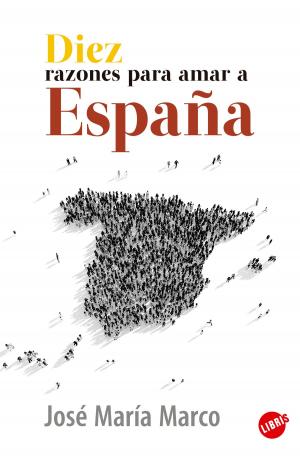 Cover of the book Diez razones para amar a España by G McDougall