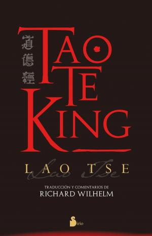 Cover of the book Tao Te King by Urboreas