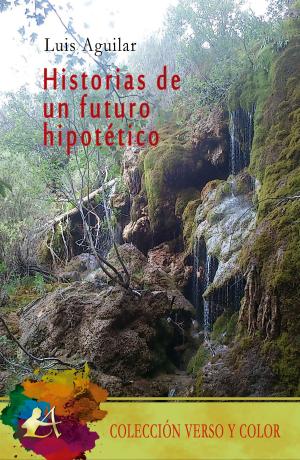 Cover of Historias de un futuro hipotético