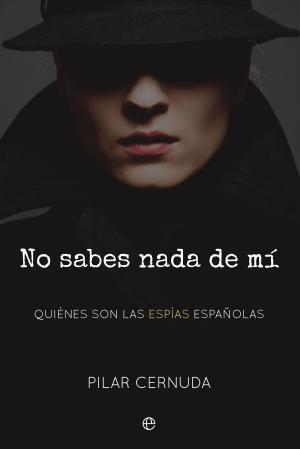 Cover of the book No sabes nada de mí by El Pirata, Javier Broco