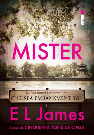 Book cover of Mister