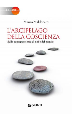 Cover of the book L’arcipelago della coscienza by Alberto Oliverio