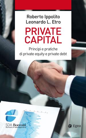 Cover of the book Private capital by Vincenzo Capizzi