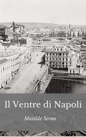 Book cover of Il Ventre di Napoli