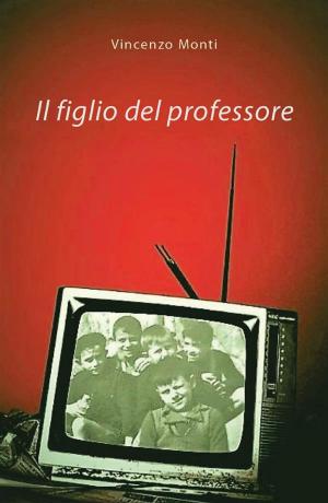 Cover of the book Il figlio del professore by Michele Madonna