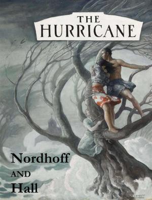 Cover of the book The Hurricane by Patricia Wentworth