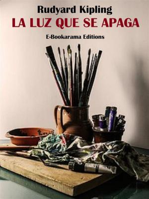 Cover of the book La luz que se apaga by Josefa Amar y Borbón