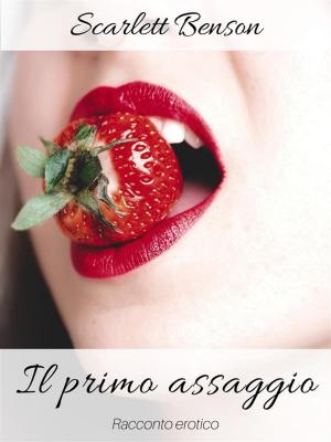 Cover of the book Il primo assaggio by Rachael L Robertson