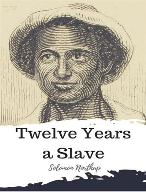 Cover of the book Twelve Years a Slave by Mark twain