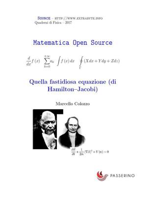 Cover of Quella fastidiosa equazione (di Hamilton-Jacobi)