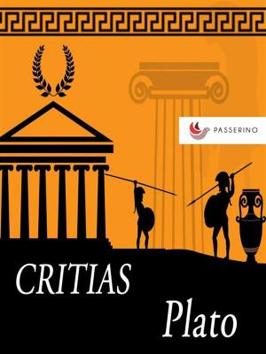 Cover of the book Critias by Marcello Colozzo