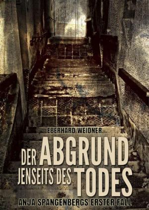 Book cover of Der Abgrund jenseits des Todes