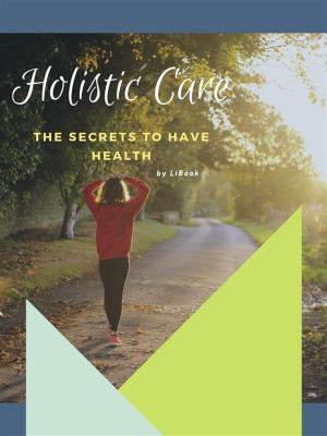 Cover of the book Holistic Care by Jason Elias, Katherine Ketcham