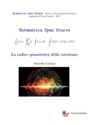 Cover of the book La radice quantistica della coscienza by Passerino Editore