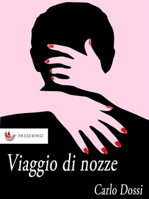 Book cover of Viaggio di nozze