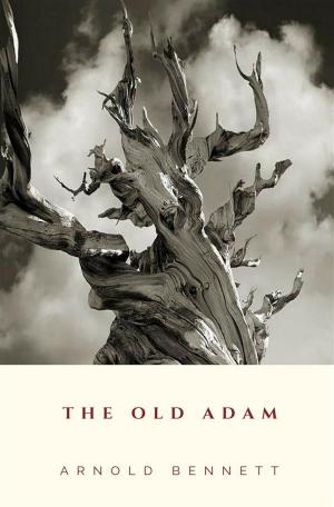Book cover of The Old Adam