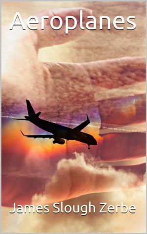 Book cover of Aeroplanes