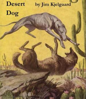 Cover of the book Desert Dog by Maurice Walsh