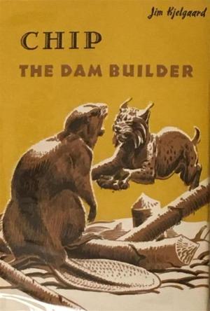 Cover of the book Chip: The Dam Builder by Sigmund Freud