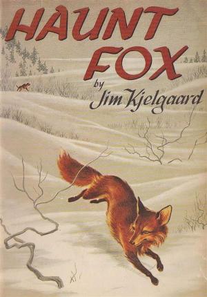 Cover of the book Haunt Fox by Peter Cheyney