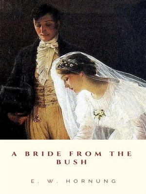 Cover of the book A Bride from the Bush by Mark twain