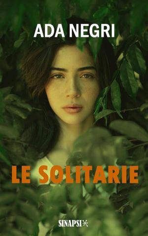 Cover of the book Le solitarie by Lev Tolstoj