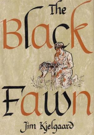 Cover of the book The Black Fawn by Isak Dinesen