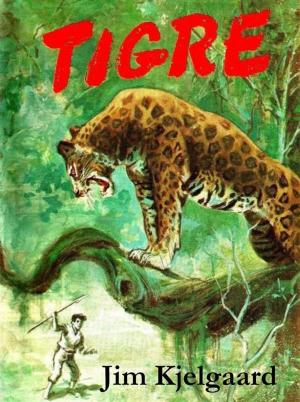 Cover of the book Tigre by Rafael Sabatini