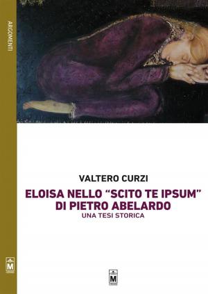 Book cover of La figura di Eloisa nello “Scito te ipsum” di Pietro Abelardo – Una tesi storica
