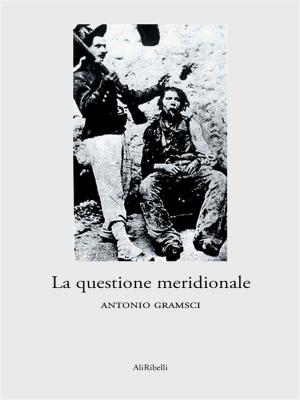 Cover of the book La questione meridionale by Edgar Allan Poe