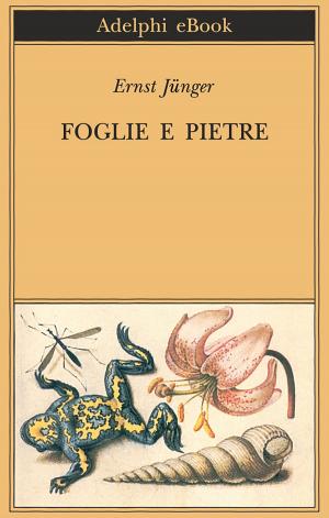 Cover of the book Foglie e pietre by Leo Perutz