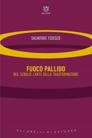 Cover of the book Fuoco pallido by Slavoj Žižek