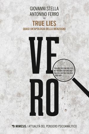 bigCover of the book True Lies by 
